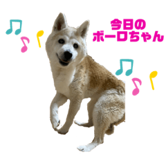 Shiho_20220812191316