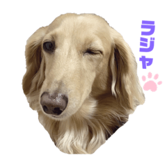 yuka_20220812181109