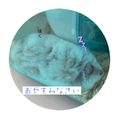 ARISA_20220812193839