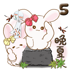 Chubby rabbit 5 (late summer)