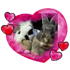 Thumper & Oreo 1