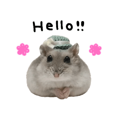 Hamster Tsumu English