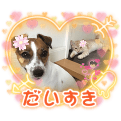 akari_20220813105335