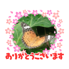 Megumi_20220813074232