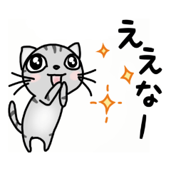 関西弁★ サバトラ猫 (大阪弁)