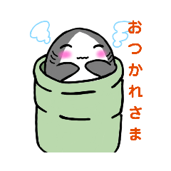 shark_20220812221938