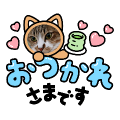 aoi_20220813151358