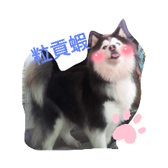 粒洗咧