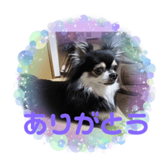 malomalo_20220813153749