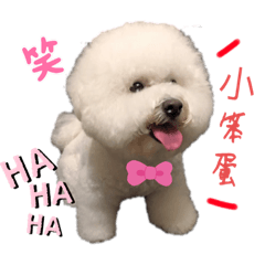 女女子