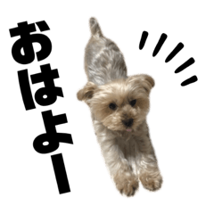 Yukari_20220813130056