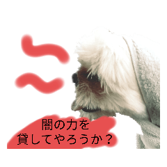 hana_20220813172959