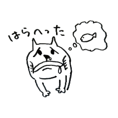 KIMATA CATS24