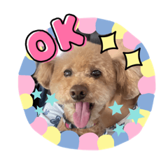 momoko_20220813183440