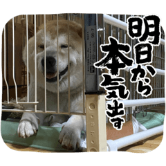 satoshi_20220813181622