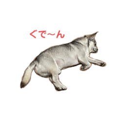 Akko_20220813200845
