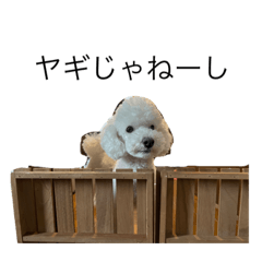 shakura_20220813180947