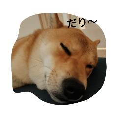 Dan_20220813230059