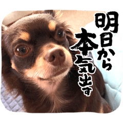 ask_20220814010507