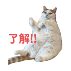 Hikari_20220814104240