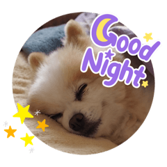 saori_20220813221348