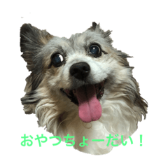 kosuke_20220814125841