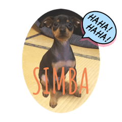 ASAKO_20220814065545