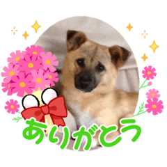 MEGUMI_20220814180744
