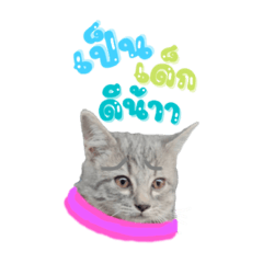 เด็กดื้อต้องโดนตีก้นV2