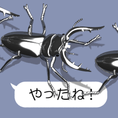 Stag beetle on the SP-4 (Metallic)