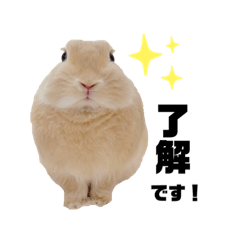 mokapin_20220814195955