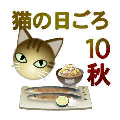 Cats Daily 10