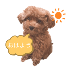 hana_20220815010043