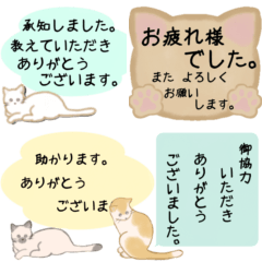 猫ちゃんボード ～定番敬語文～