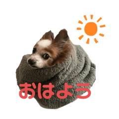 hana_20220815051634
