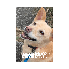 Kappa&Coco 2