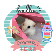 可愛狗和倉鼠貼圖