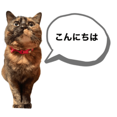 saori_20220815003449