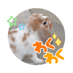 akari_20220815123731
