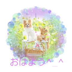 yukari_20220815114037