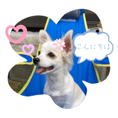 Hana_20220815120847