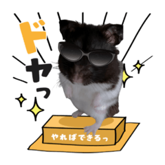 nozomi_20220814224318