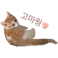 omochi_20220813224603