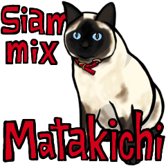 Siam Mix Matakichi