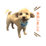 chanmiku_20220815160850