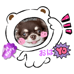 SHIHO_20220815181339