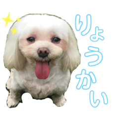 rina_20220815193839