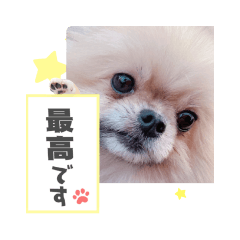 SawadaRie_20220815164607