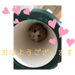 rinrin_20220815165606