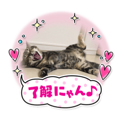 hana_20220815203436